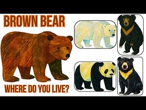 Brown Bear, Sun Bear, Panda, Polar Bear - Discover the World of Bears, Where do they live?