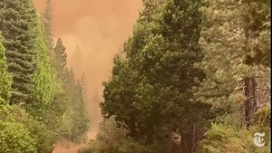 Caldor Fire Burns More than 100,000 Acres in California