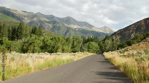 The Mount Nebo Loop Scenic Drive passes through the Uintah National Forest.