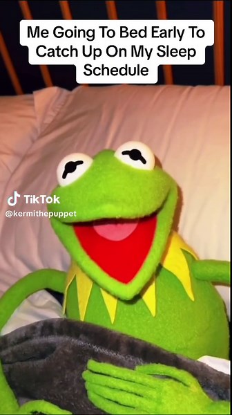 Gotta love scary videos at night 😂 #kermitthepuppet #viral #memes #viral #comedy #lol #haha #kermitthefrog #kermit