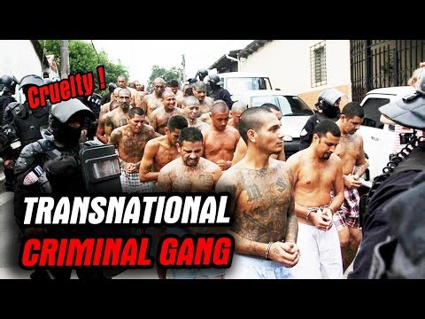 The MS-13 gang spreads terror throughout the United States | True Crime Documentary