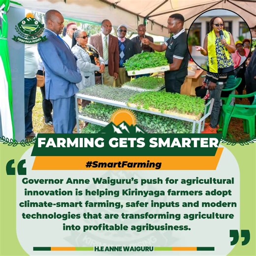 Empowering Kirinyaga Farmers Under the leadership of Anne Waiguru, farmers in Kirinyaga County are embracing modern and climate-smart agriculture. Through innovation, training, and access to safer inputs, farming is becoming more productive and profitable. Farmers are adopting organic methods and high-yield crops that increase both food production and household income. New platforms are also exposing them to value addition technologies and agribusiness opportunities. These initiatives are streng