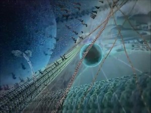 Kinesin is one of the body’s smallest transport systems: a molecular motor that walks along microscopic tracks inside your cells, carrying cargo like nutrients, enzymes, and signaling molecules to where they’re needed. 🟡 Moves energy supplies and building materials within cells 🟡 Powers nerve function by transporting molecules along axons 🟡 Keeps cell division, repair, and communication running smoothly Without kinesin, cells would lose their internal delivery network. Signals in the brain wo