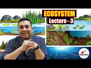 Ecosystem l Lecture 3 l Biology l NEET