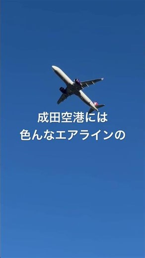 成田で見つけた！マカオ航空の優雅なフライト✈️