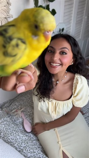 Maryam Anes on Instagram‎: "انا وزعتر بنقولكم كل سنه وانتوا طيبين شم نسيم سعيد 🐥🌻🌼⭐️💛"‎