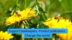 BBKA - The British Beekeepers Association on Reels