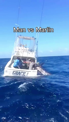 Ocean Tagging: Listening to the Sea for Conservation