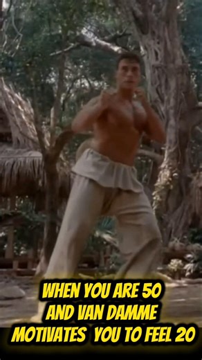 VAN DAMME IT!!! #jcvd #funny