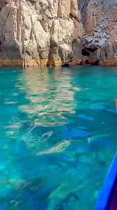 Un tour imperdible en este rincón de Baja California Sur, La Paz 👌 Baja Toto Tours ⛱️🥰 #vivelapazmx 😍⛱️ | Vive La Paz Mx