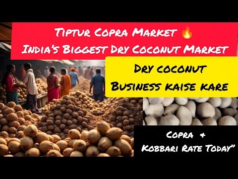 Tiptur Copra Market 🔥 India’s Biggest Dry Coconut Mandi | Khopdi & Kobbari Rate Today” #viral