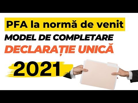 Model completare declaratie unica PFA norma de venit 2021