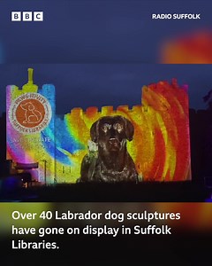2K views · 75 reactions | Framlingham Castle lights up for Suffolk Libraries 'Paws-itivity' campaign. https://bbc.in/3JOImvS | BBC Suffolk | Facebook