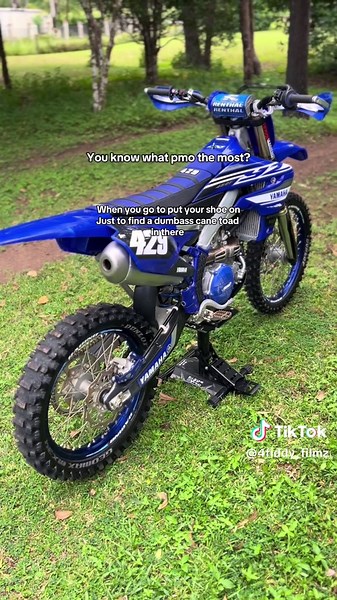 Cane Toads: An Aussie Joke You Can Relate To