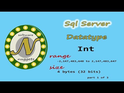 SQL Server: (L5) How to use the INT data type.
