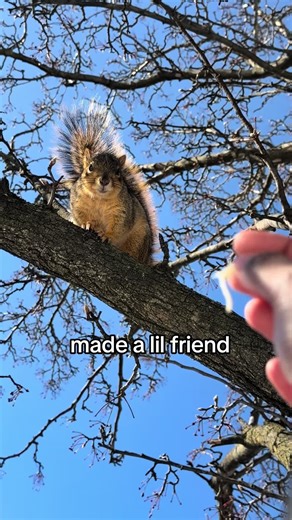 Be Kind to Animals: Making Friends with Nature