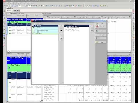 Primavera P6 Earned value, variances, project cost comparison chart.