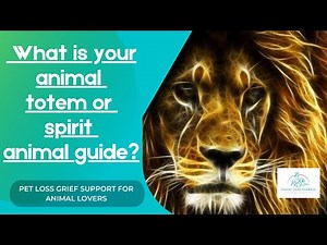 What are Animal Spirit guides, how to connect with your animal totem