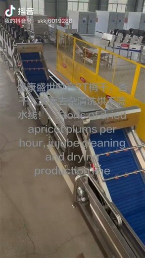 Plum, Apricot & Jujube Processing Line | Ready to Ship to Russia #industrialmachinery #machine