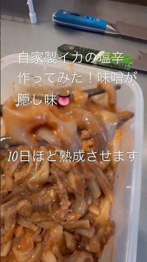 自家製イカの塩辛！熟成させると美味さ爆発💥