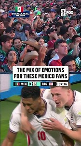 Mexico fans are going through a rollercoaster of emotions in this first half