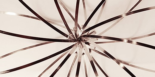 TODO SOBRE EL TOROIDE - Intorus