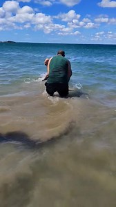 LA CRUZ - GUANACASTE EL JOBO PLAYA RAJADA Video de Mike Salas Ruiz Cosas que suceden en La Cruz y algunos tienen el privilegio de observar en vivo y otros muchos por medio de Infórmese Denuncie. Gracias Mike Salas Ruiz y a los otros jóvenes por ayudar a esta belleza del mar. La Cruz para el mundo. Infórmese Denuncie | Infórme vision