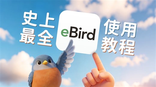 b站观鸟人看过来👀，史上最全干干干干干货！