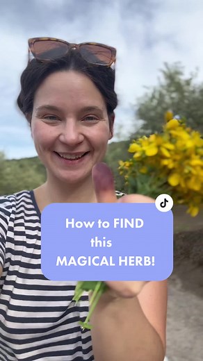 Healing Herbs: How to Use St. John's Wort for Cuts, Scars, and Bruises