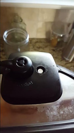 Instant Pot Troubleshoot/Float Doesn't Pop Up To Seal