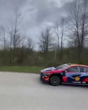 Craig Breen crushed and died while testing his Hyundai i20 wrc star