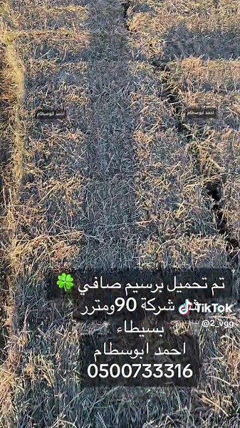 إعلان برسيم صافي من الشركة الجديدة بتاريخ اليوم