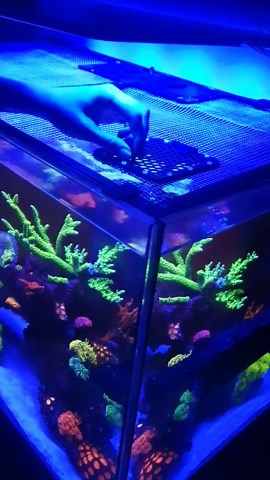 Futteröffnung für Aquarium Abdeckung / Screen Top Feeding Portal - Etsy.de