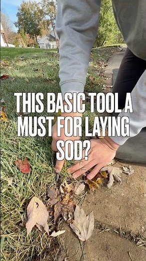 The Only Tool Needed For DIY Laying Sod?