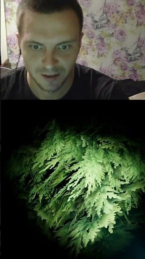 The darkness hides a monster 👻 #horror #survival