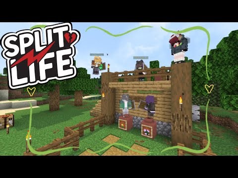 Flowers and The Fallen. | Split Life Session 2.