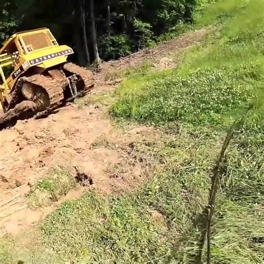 1.6M views · 28K reactions | Friday Night Cat Fight!!! Tator VS The Dozer!!! | Ron Pratt | Facebook