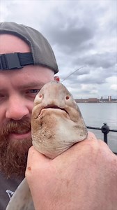 What a beautiful little dogfish 😅 but don’t let them trick you will have your skin off 😱🎣 #fishtok #seafishing #fishinglife #dogfish #fbreelsfypシ゚viralシ | The Fishing Place