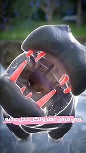 ربى فرس نهر ولكن دخل عليه؟ 🤔