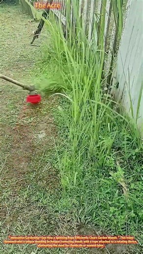 Spinning Rope Weeding Method