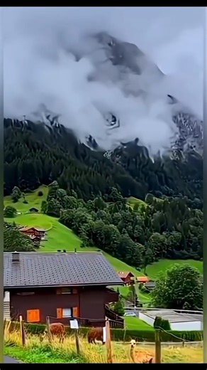 Most Beautiful Places & Nature 🌿✨#beautiful #nice #yt#video #nature #4k #shorts #subscribemychannel