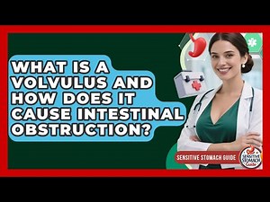 What Is A Volvulus And How Does It Cause Intestinal Obstruction? - Sensitive Stomach Guide