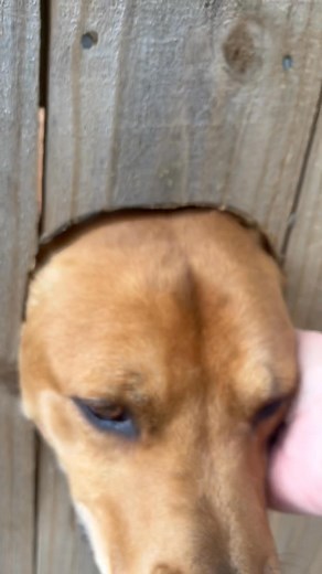 A good morning at the “hello hole” | Kelly Moran