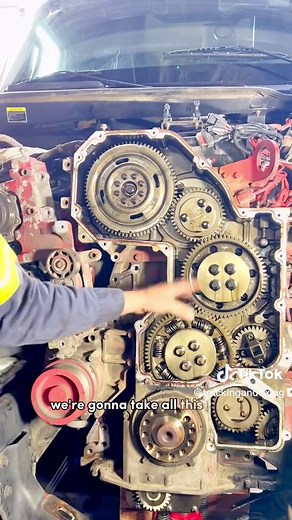 TikTok - Make Your Day