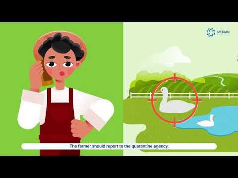 [MEDIAN Diagnostics] AIV Total Diagnosis System (NEW)