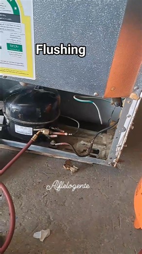 Flushing condenser coil refrigerator using r141b and Nitrogen #refrigerationtech #everyone #hvactech | Alfe Logente
