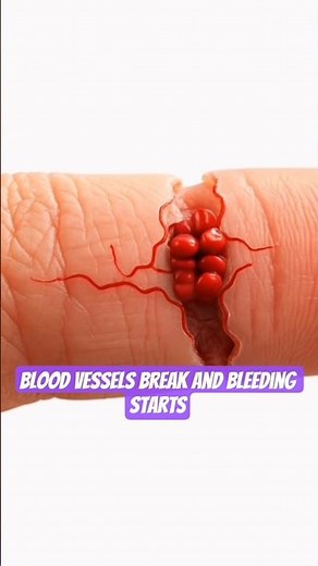 How Cuts Heal in 60 Seconds | Wound Healing Process Explained #Shorts