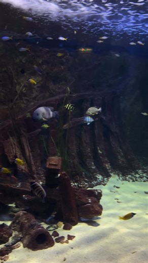 💙 | Malta National Aquarium