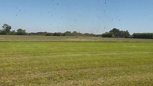 28K views · 1K reactions | Un agriculteur a pu filmer tout à l'heure un très beau specimen de Dust Devil du côté d'Arles. C'est un "diable de poussière" et cela se produit par temps sec et vent faible lorsque la température est élevée et le point de rosée plus faible. Toujours impressionnant à voir et le plus souvent sans danger. Mais il est rare d'en voir de si imposants ! | La météo du 13 | Facebook