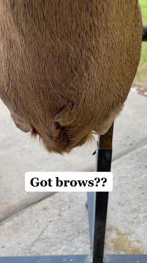 jwfahrenbruch on TikTok